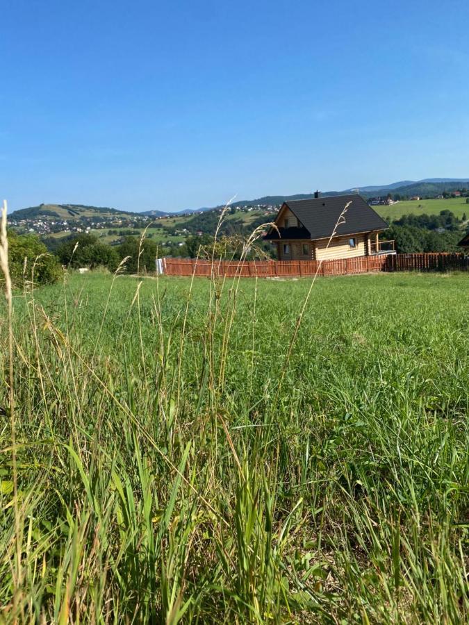 Zloty Gron Log & Holiday home Istebna