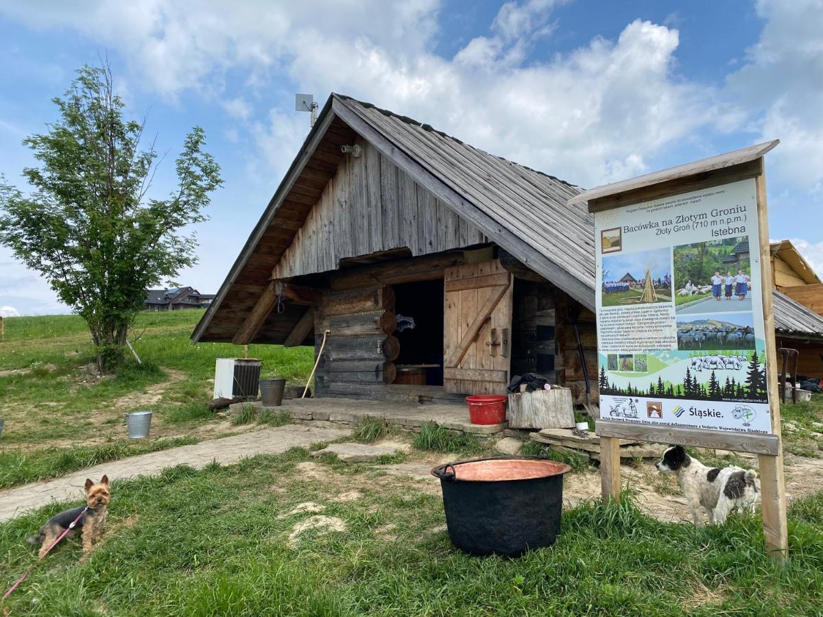Zloty Gron Log & * Istebna