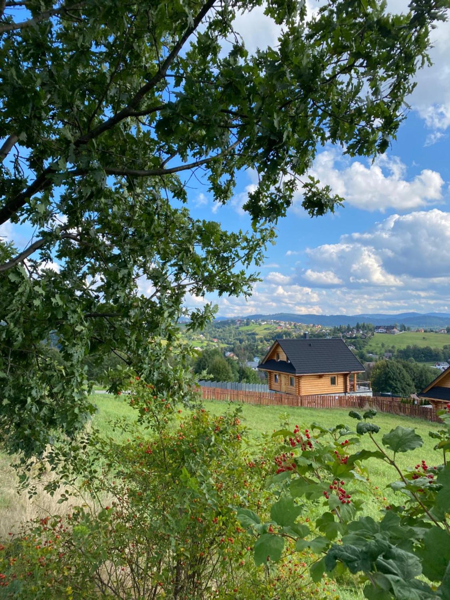 Zloty Gron Log & Holiday home