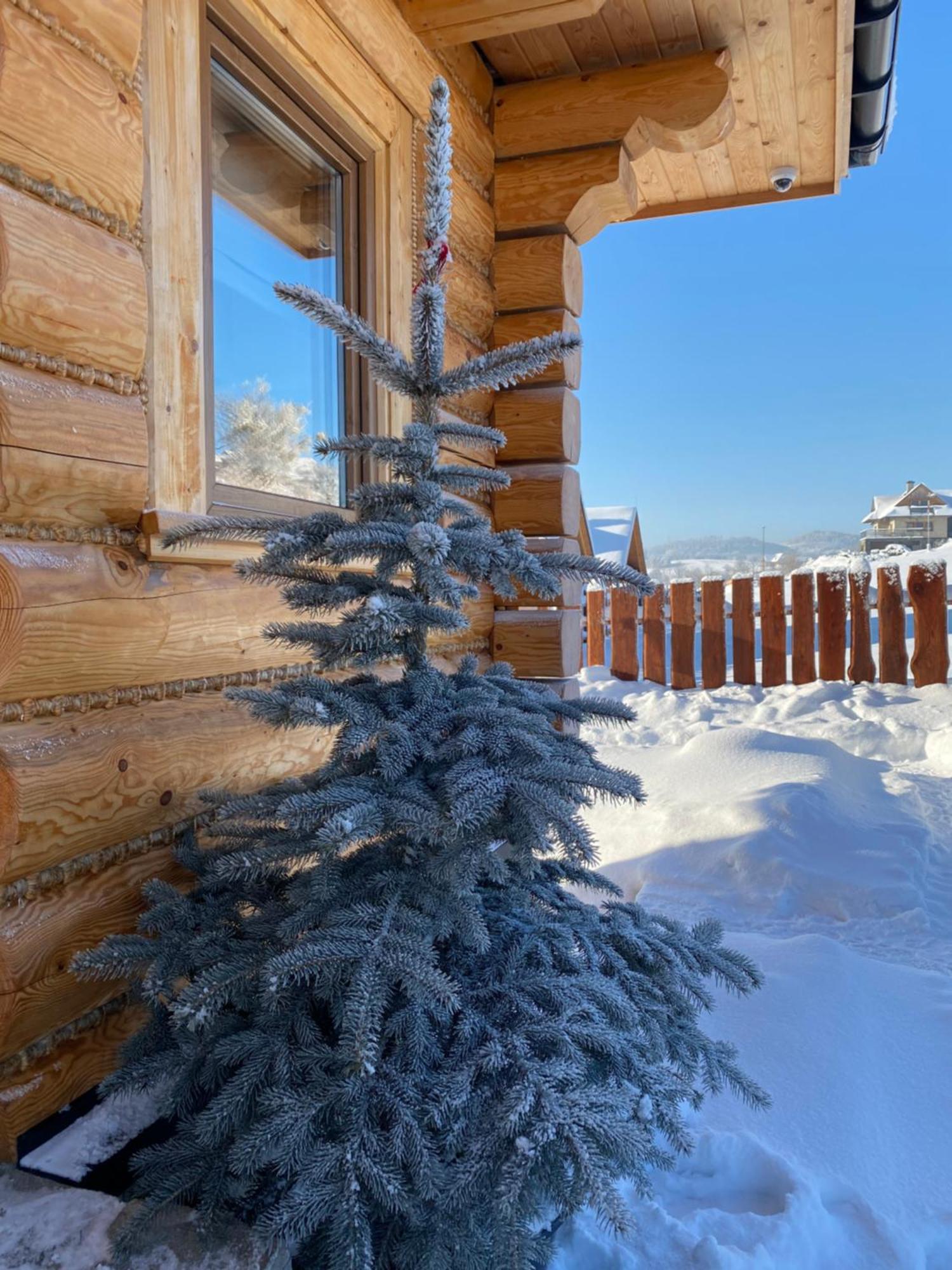 Holiday home Zloty Gron Log & *
