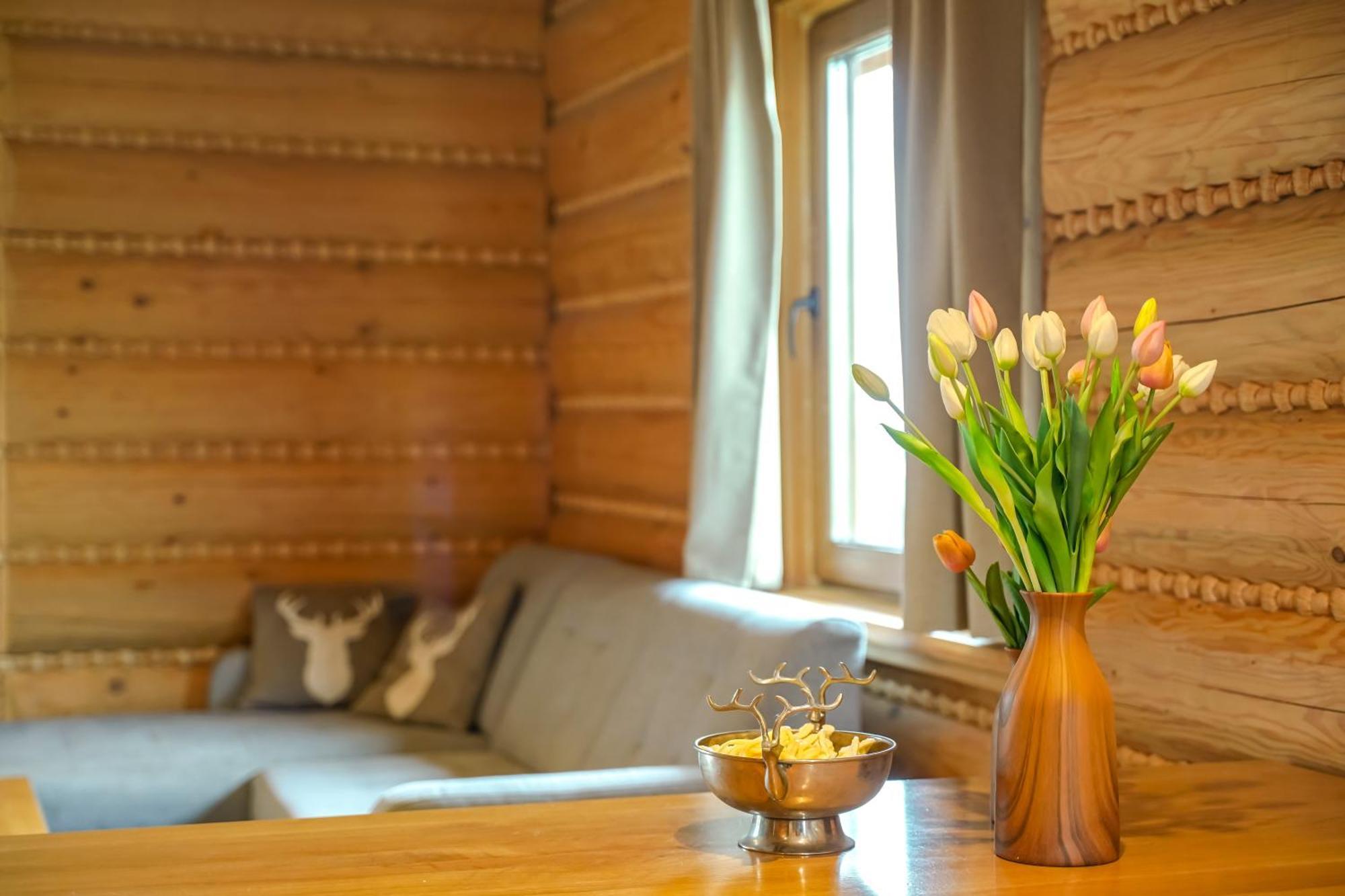 Zloty Gron Log & Holiday home *